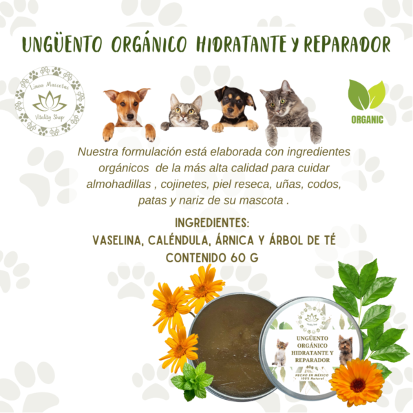 UNGÜENTO REPARADOR  HIDRATANTE - Imagen 4