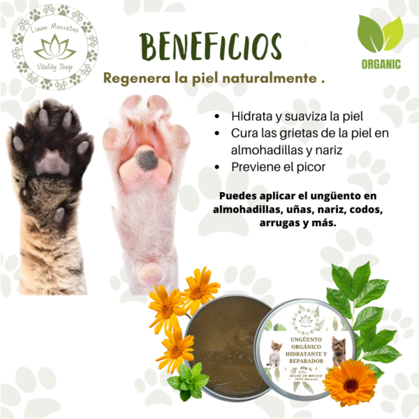 UNGÜENTO REPARADOR  HIDRATANTE - Imagen 5