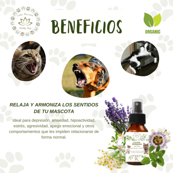 LOCIÓN RELAJANTE  ANTI-ESTRÉS PARA MASCOTAS - Imagen 5