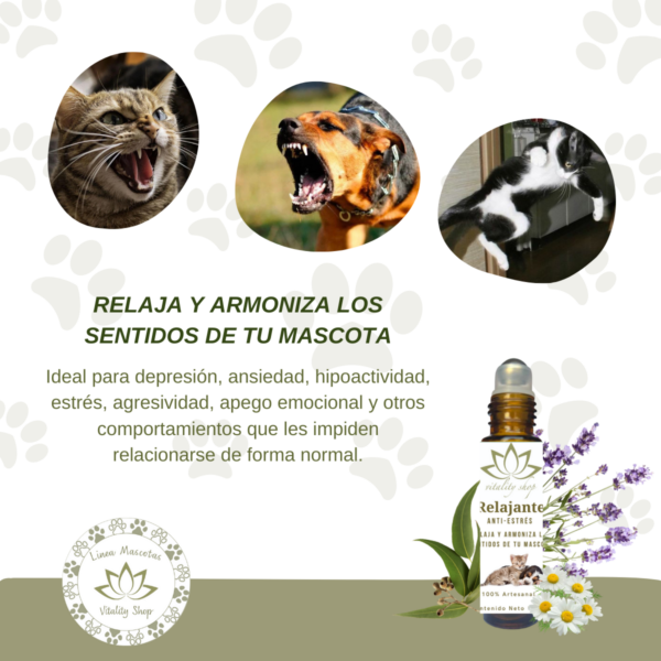 ROLL  ON RELAJANTE  ANTI -ESTRÉS PARA MASCOTAS - Imagen 7