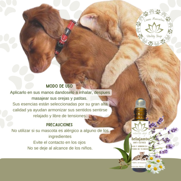 ROLL  ON RELAJANTE  ANTI -ESTRÉS PARA MASCOTAS - Imagen 2