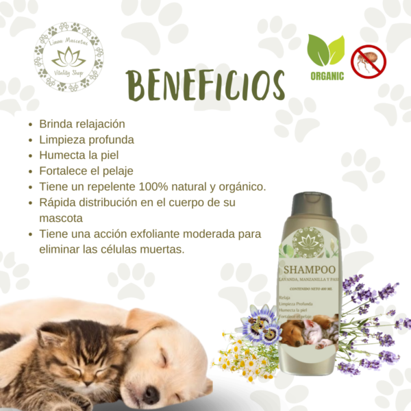 Shampoo Orgánico Natural Perros Gatos Mascotas RELAJANTE - Imagen 4