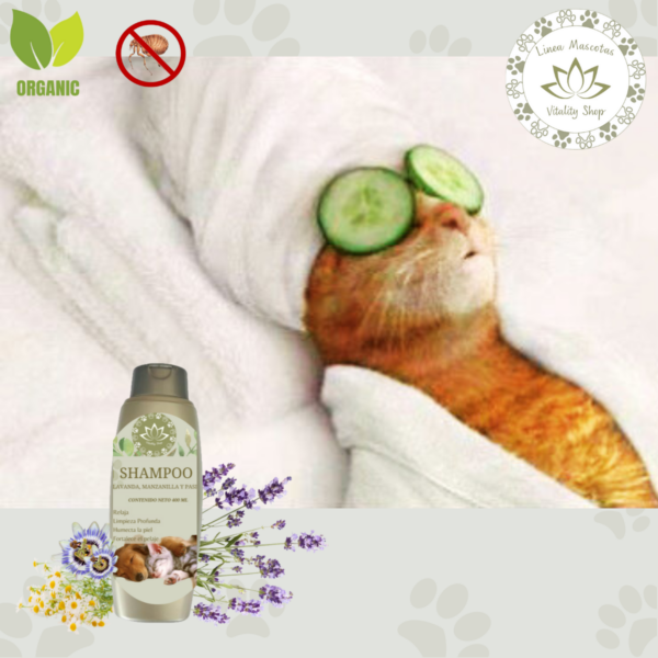 Shampoo Orgánico Natural Perros Gatos Mascotas RELAJANTE - Imagen 6