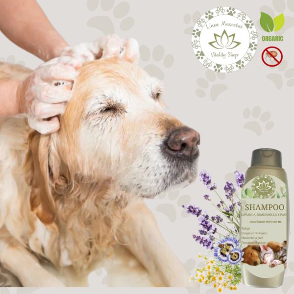 Shampoo Orgánico Natural Perros Gatos Mascotas RELAJANTE - Imagen 7