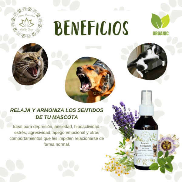 Loción Orgánica Relajante Anti Estrés Para Mascotas Perro Gato 125ml - Imagen 4