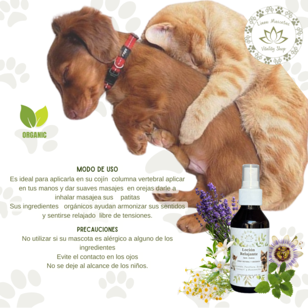 Loción Orgánica Relajante Anti Estrés Para Mascotas Perro Gato 125ml - Imagen 5