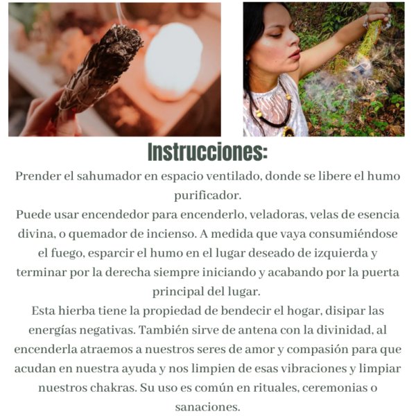 SAHUMERIO SALVIA - Imagen 3