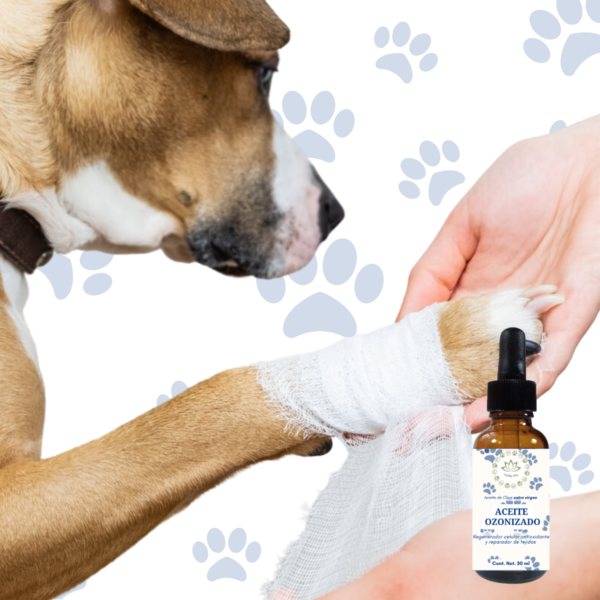 Aceite Ozonizado Desinfecta Hidrata Humecta Para Perro Gato - Imagen 7