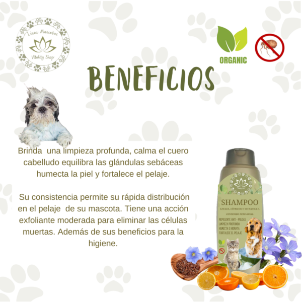 Shampoo Repelente Para Mascotas Equilibra Glándulas Sebáceas - Imagen 5