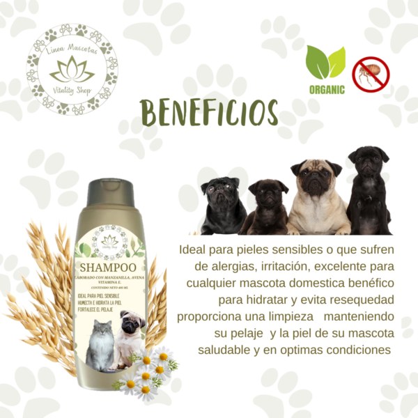 Shampoo Orgánico Anti Pulgas Para Mascota Piel Sensible - Imagen 4