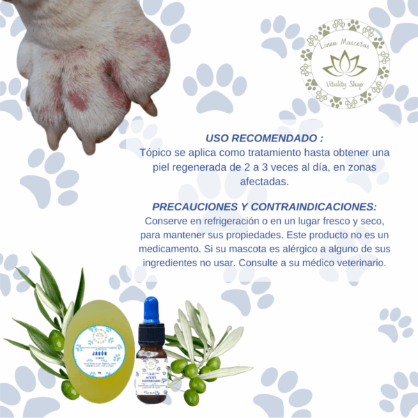 Aceite Y Jabón Ozonizado Heridas Desinfecta Regenera Mascota - Imagen 5